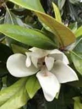 Проститутка Катя - Калуга